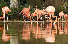 Zoo de Barcelona